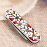 Нож-брелок Victorinox Classic Edelweiss 0.6203.840